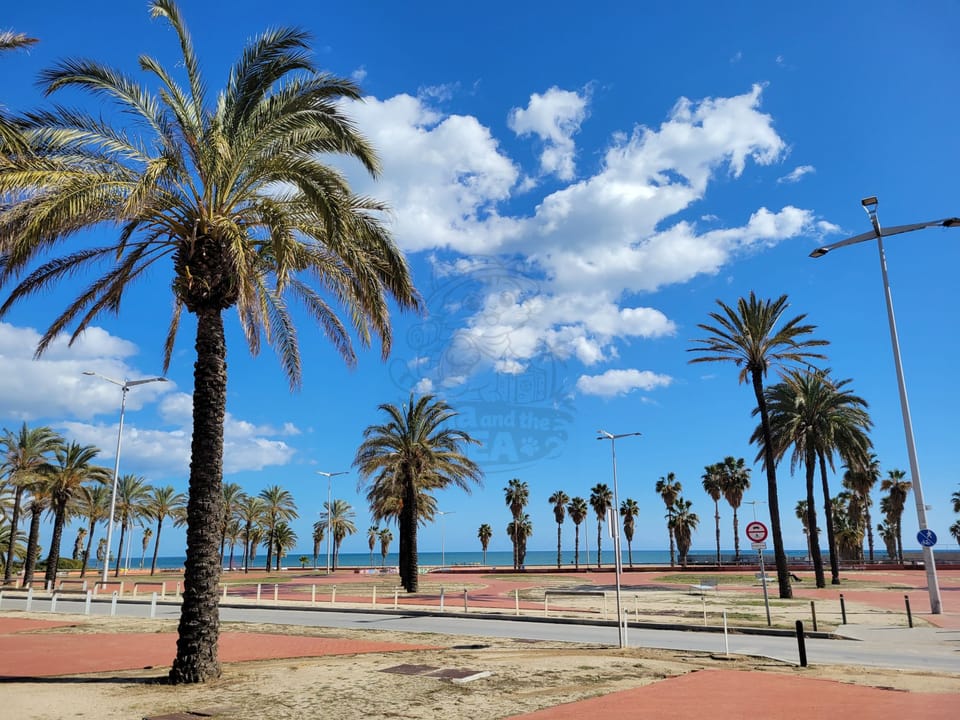 Barcelona - the good, the bad, the beautiful